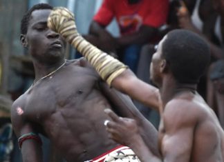 Dambe: The Nigerian combat sport with worldwide aspirations